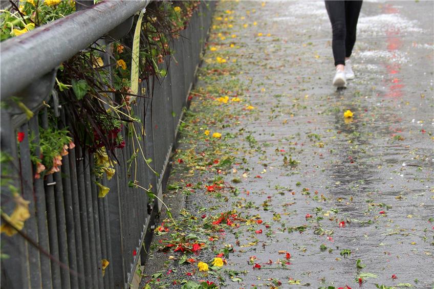 Nicht nur dem Blumenschmuck an der Tübinger Eberhardsbrücke hat der Hagel vergangene Woche schwer zugesetzt. Bild: Volker Rekittke