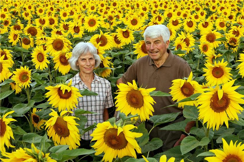 Otlinde und Peter Bosch in ihrem Sonnenblumenfeld im Jahr 2008. Damals hatte Bosch eine Million Sonnenblumenkerne gesät, die alle aufgingen. Archivbild: Manfred Grohe