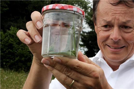 Regierungspräsident Klaus Tappeser hält einen Warzenbeißer im Glas bei der Begehung der Bühlberge beim Kornbühl.Bild: Mario Beißwenger