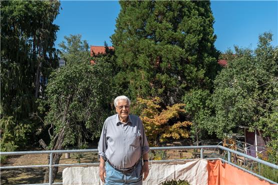 Roland Speier auf seiner Terrasse in der Südstadt vor seinem 40 Jahre alten Mammutbaum im Hintergrund. Bild: Carolin Albers