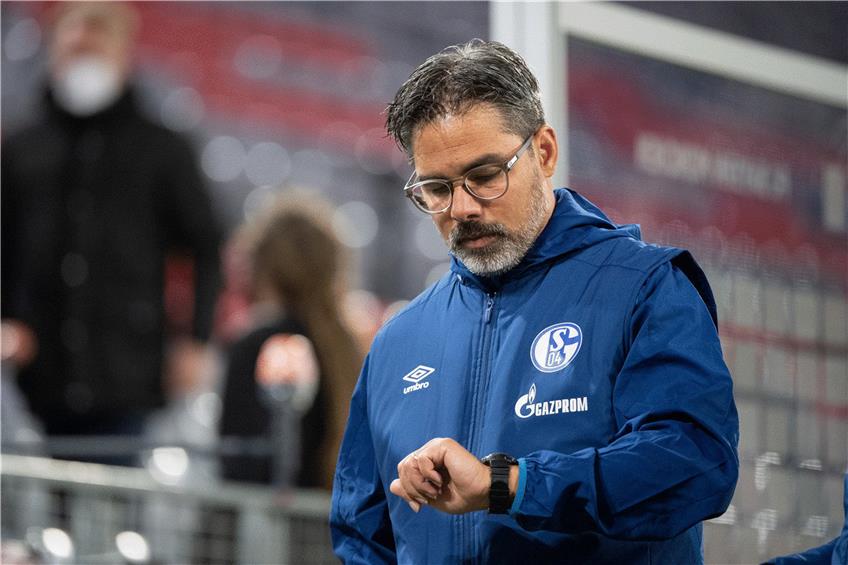 Seine Zeit auf Schalke ist abgelaufen: Trainer David Wagner. Foto: Matthias Balk/dpa
