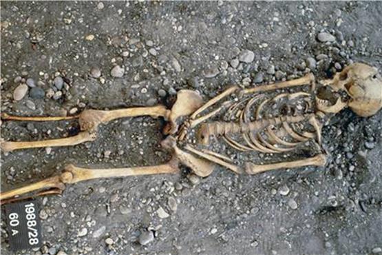 Skelett einer Frau aus dem 19. Jahrhundert, von der dokumentiert ist, dass sie als Schneiderin in Basel arbeitete. Ihre spezialisierte Tätigkeit spiegelt sich an den Handknochen wider.Bild: Alexandros Karakostis