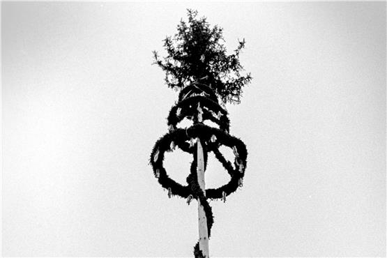 So prächtig ragt der Öschinger Maibaum für gewöhnlich in den Himmel – wenn er eben nicht gerade gefällt ist. Archivbild: Klaus Franke
