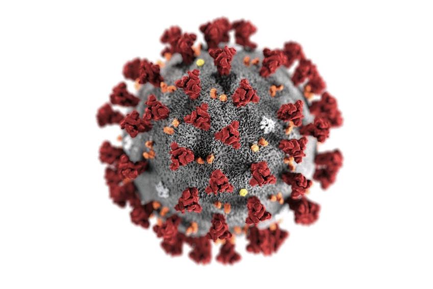 So sieht das Coronavirus aus. Foto: Cdc/Cdc/imago images