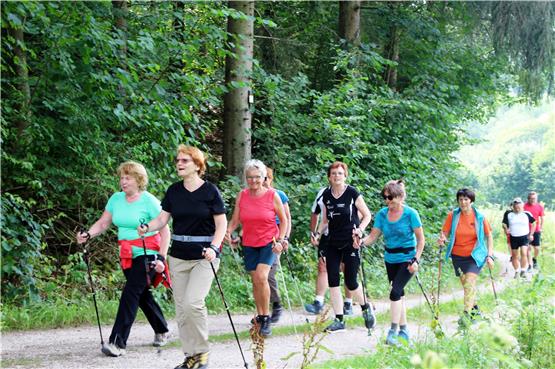 So walkt es sich durch’s Ehrenbachtal: Freizeitsportlerinnen der LG Steinlach-Zollern . Bild: LG