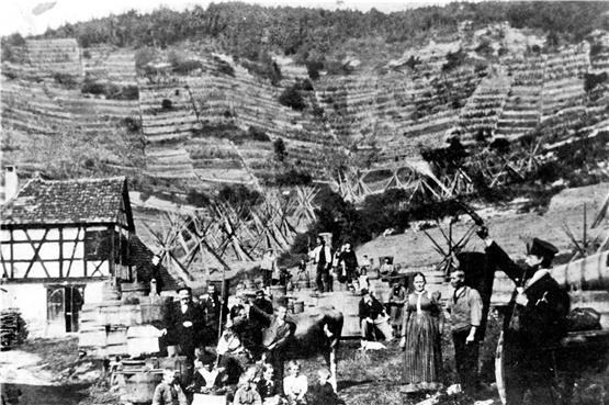 Startschuss zum Beginn der Weinlese im Jahr 1897 in Hirschau. Bildarchiv: Gemeinde Hirschau