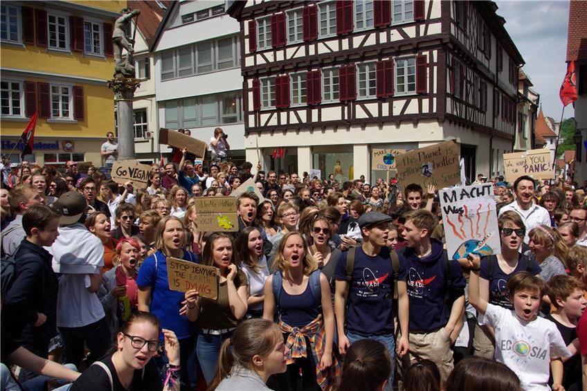 Tausende Schülerinnen und Schüler demonstrierten im Mai in Tübingen für mehr Klimaschutz. Bild: Lucie Schweizer