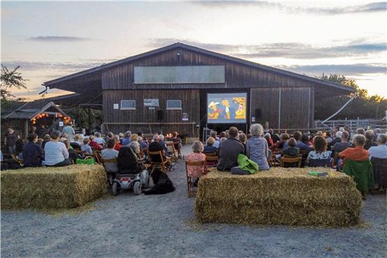 Über 140 Leute kamen am Samstag zum Open-Air-Kino auf den Birkenhof. Bild: Claudia Jochen