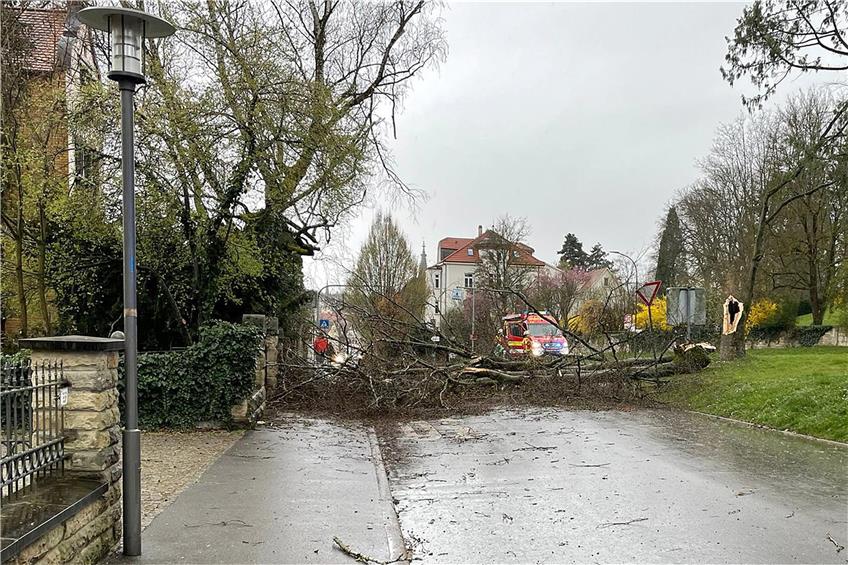 Umgestürzter Baum in der Seebronner Straße in Rottenburg. Bild: Feuerwehr Rottenburg