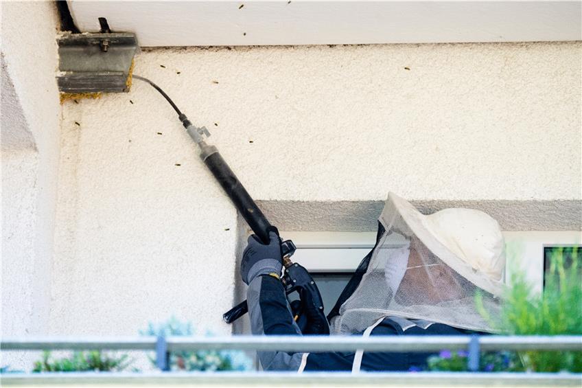 Unter Umständen nicht ganz günstig: Ein Schädlingsbekämpfer spritzt Insektizid in ein Wespennest. Foto: Julian Stratenschulte/dpa
