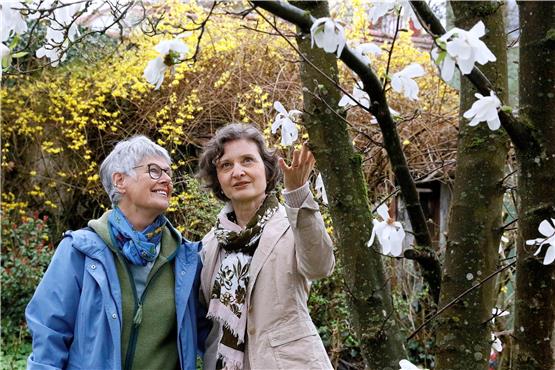 Vera Morel-Heider und Barbara Mees (von links nach rechts) bewundern die blühende Sternmagnolie. Bild: Horst Haas