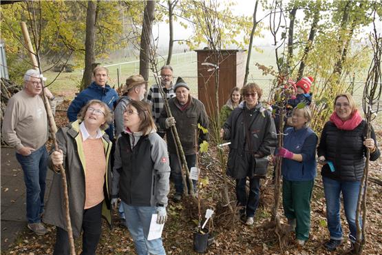 Viele Pflanzen-und Obstbaum-Bestellungen gingen dies Jahr beim OGV Starzach ein. Sechs junge Bäume pflanzte der Verein im eigenen Lehrgarten ein. Bild: Klaus Stifel