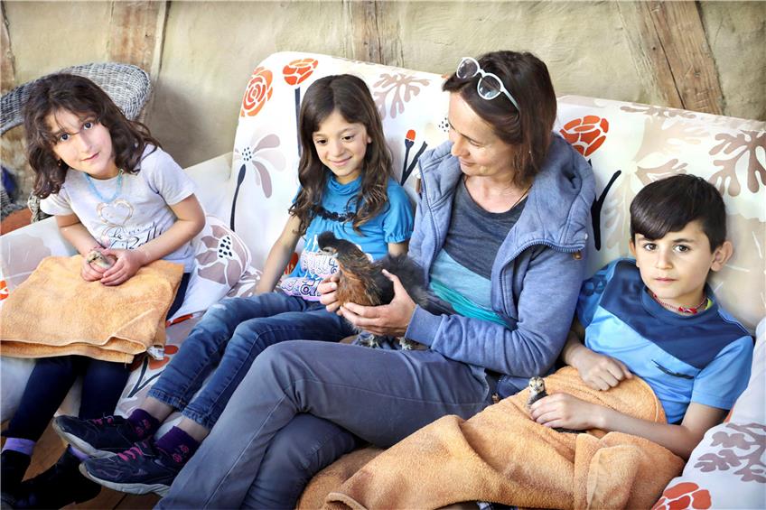 Von Maisaa, Sheelan, Christine Donath und Adham lassen sich die Henne und die Zwergseidenküken gerne in die Hand nehmen.Bild: Faden