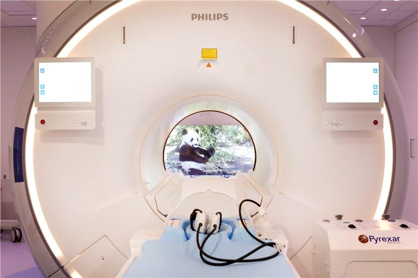 Während der Untersuchung im Magnetresonanztomographen können die Patienten Filme schauen – hier über Pandas. Bild: Anne Faden