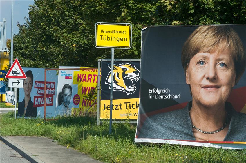 Wahlplakate in der Europastraße – fast hätte der Tiger die Kanzlerin im Griff. Bild: Metz