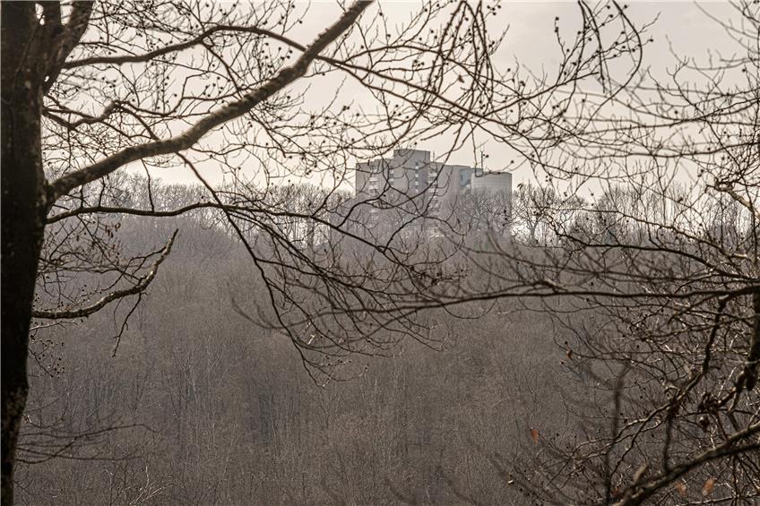 Waldhäuser Ost vom Wald aus betrachtet. Bild: Ulrich Metz