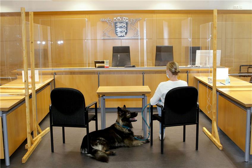 Wenn der Altdeutsche Schäferhund „Al Capone“, hier mit seiner Hundeführerin Sabine Kubinski, freundlich schaut, hat das oftmals einen beruhigenden Effekt auf die Zeugen vor Gericht. Foto: Gerhard Baeuerle/epd