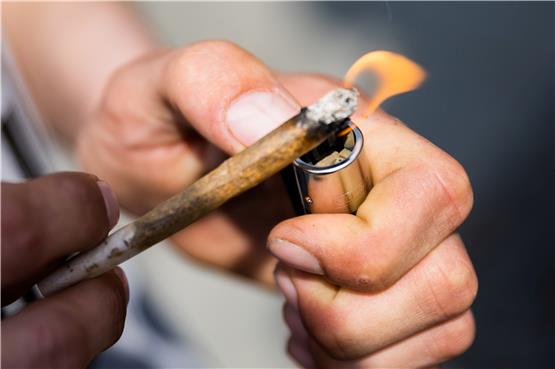 Wie gefährlich ist Cannabis? Vor der geplanten kontrollierten Abgabe an Erwachsene weist ein UN-Bericht auf die Probleme hin. Foto: Christoph Soeder/dpa