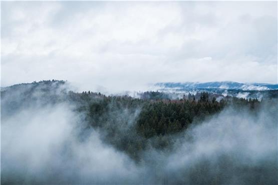 Wolken ziehen über einem Waldstück auf (Luftaufnahme mit Drohne). Foto: Silas Stein/dpa/Archivbild