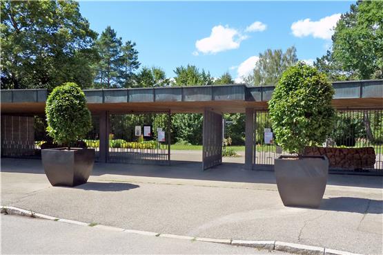 Zum 70. Geburtstag bekam der Friedhofseingang auf dem Galgenberg zwei neue Bäume. Bild: Stadt Tübingen